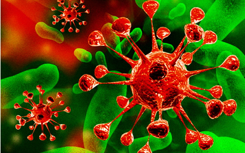 Энтеровирус и ротавирус. В чем разница?