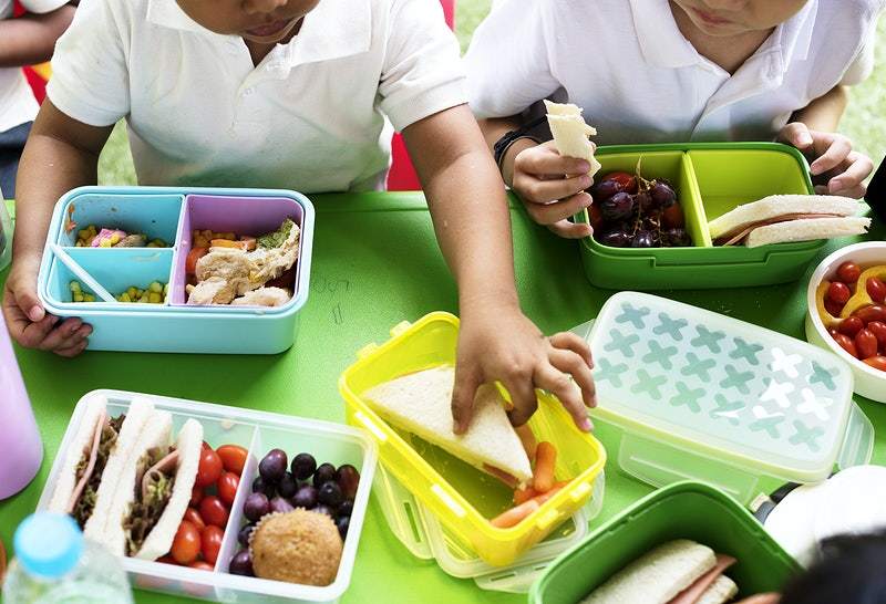 Питание школьника: чем кормить ребенка? 