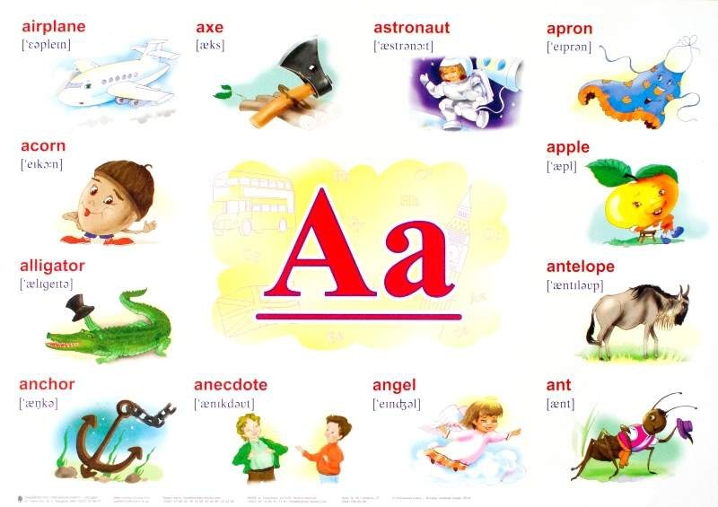 Английский алфавит в картинках для детей - буква A