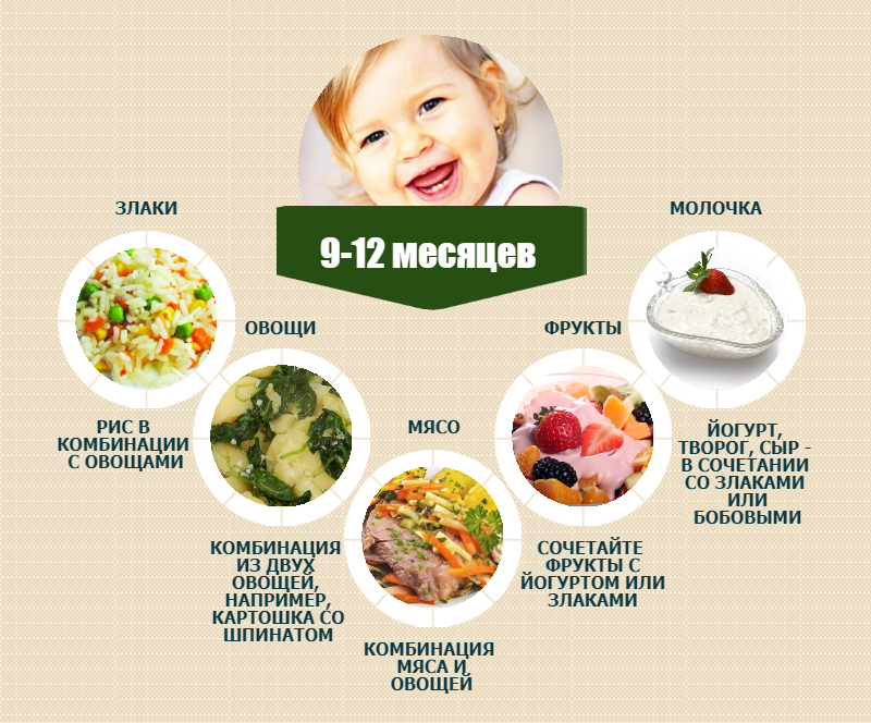 Питание ребенка: 9-12 месяцев (рацион питания, меню)