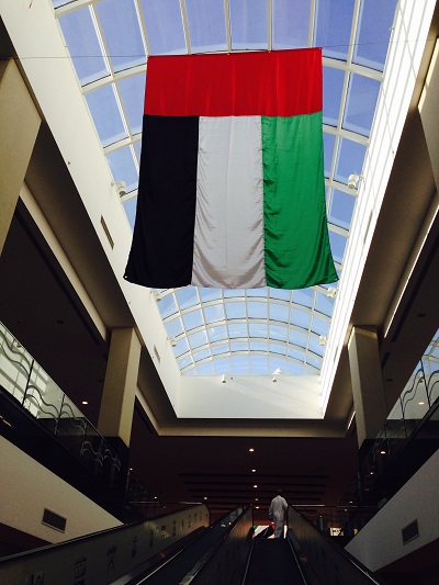 Что такое патриотизм или The National Day in Dubai