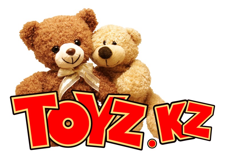 Интернет-магазин «Toyz.kz»