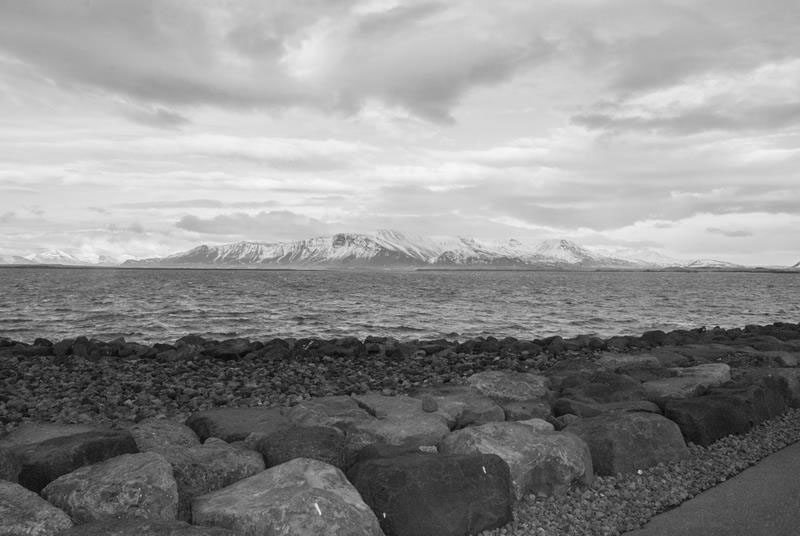 Барбос в Исландии