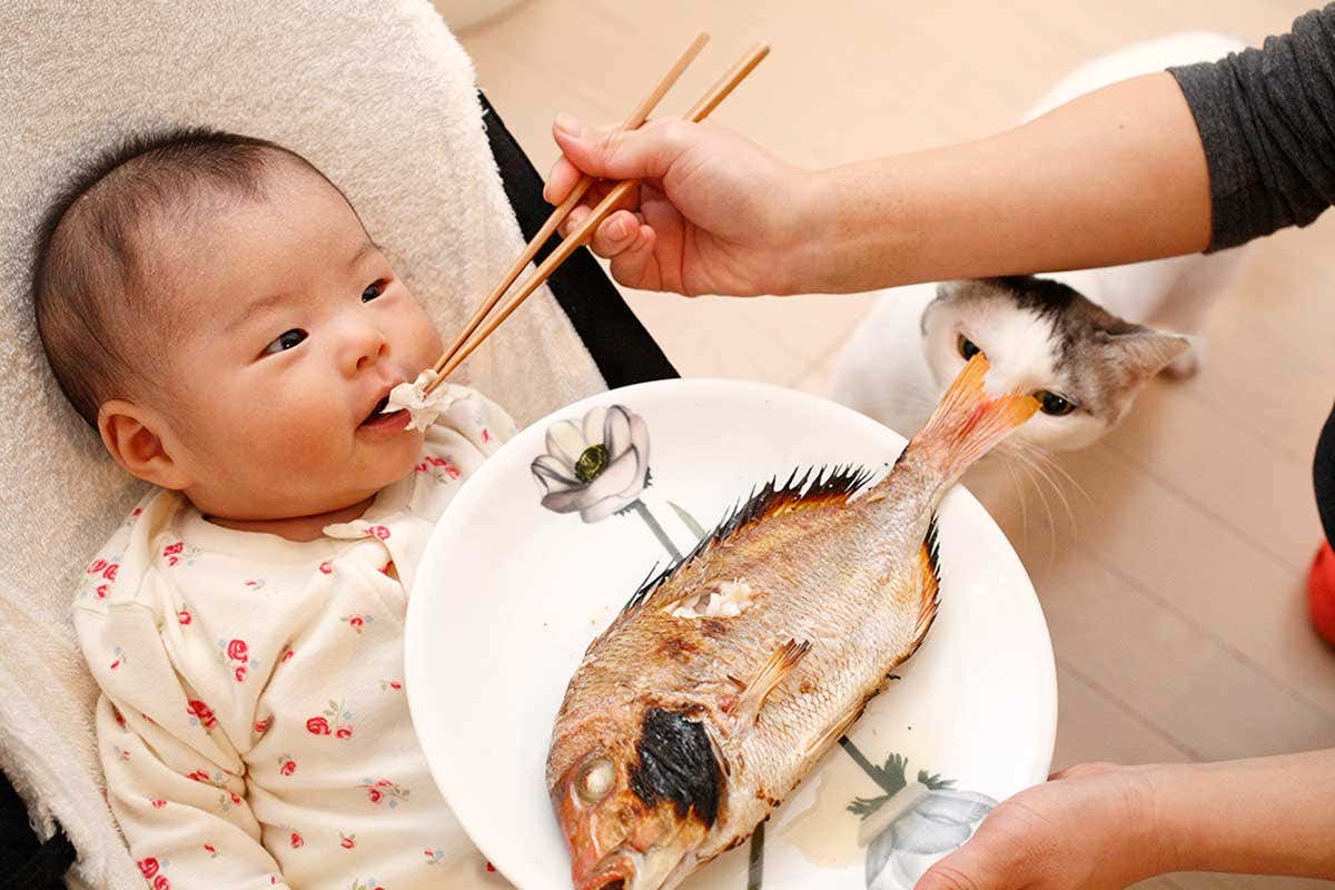 Правда ли, что ребенку достаточно съесть 1 порцию морской рыбы (скумбрия, тунец, палтус) в неделю, чтобы получать необходимые организму Омега-3 жирные кислоты?

