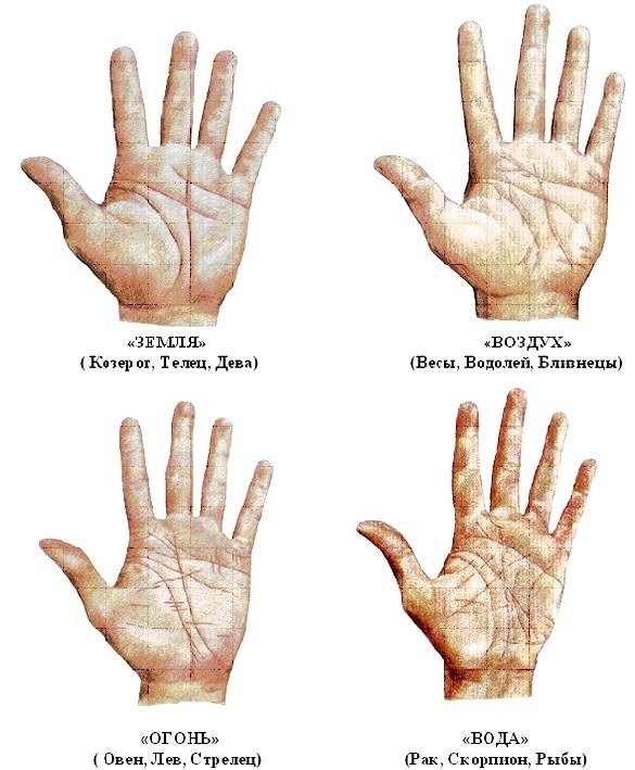 Типы рук  