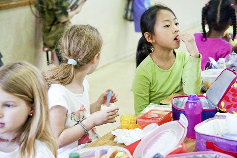 Питание школьника: чем кормить ребенка? 