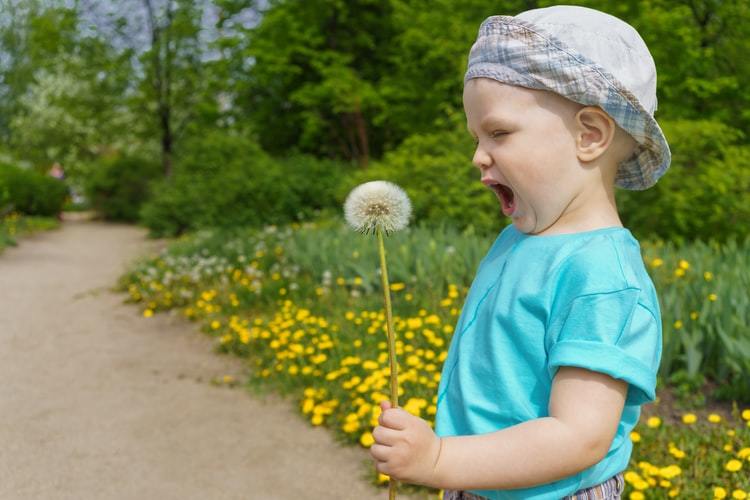 Сезонная аллергия у детей: что делать в профилактических целях