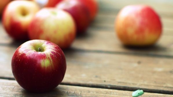 Конкурс для детей: Кто соберет больше всех яблок?