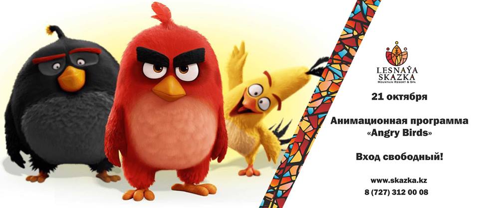 Анимационная программа 'Angry Birds'