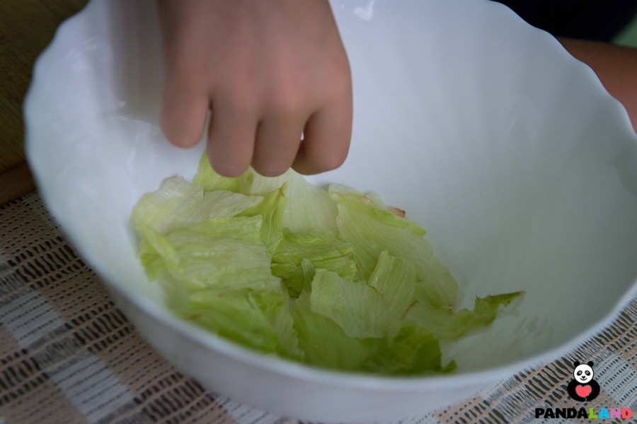 Листья салата на тарелке. Кулинарные рецепты (Казахстан)