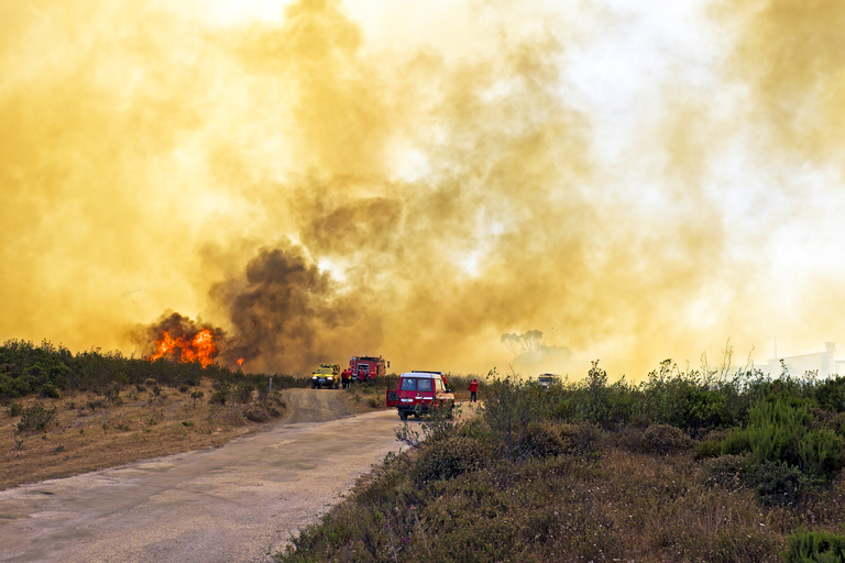 Причины возникновения лесных пожаров и меры их предотвращения