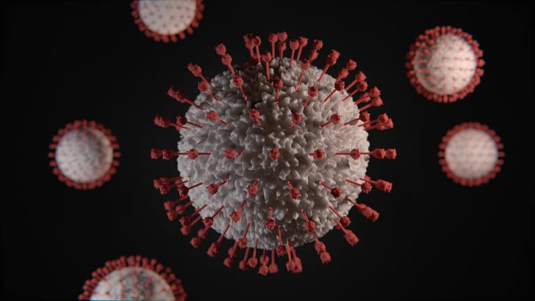 Новый ПЦР тест определяет все виды штаммов коронавируса 