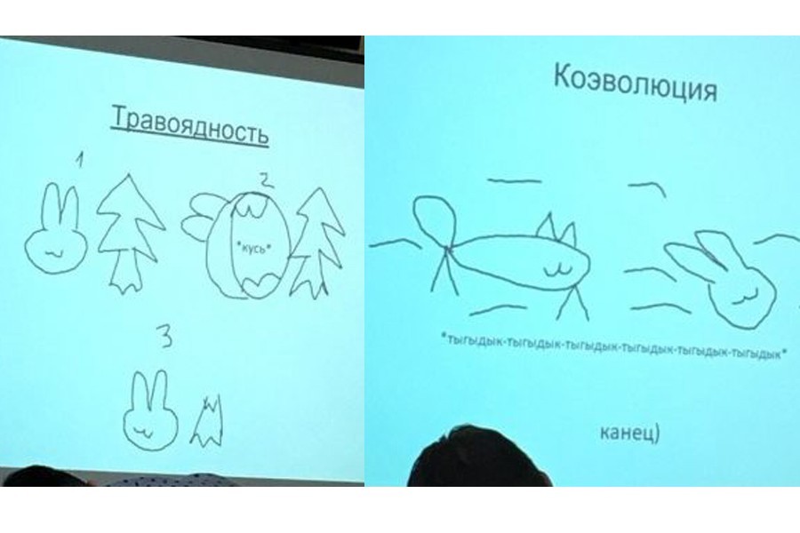 Учительница из России объясняет биологию с помощью мемов. 'Кусь' и 'тыгыдык' развеселили пользователей