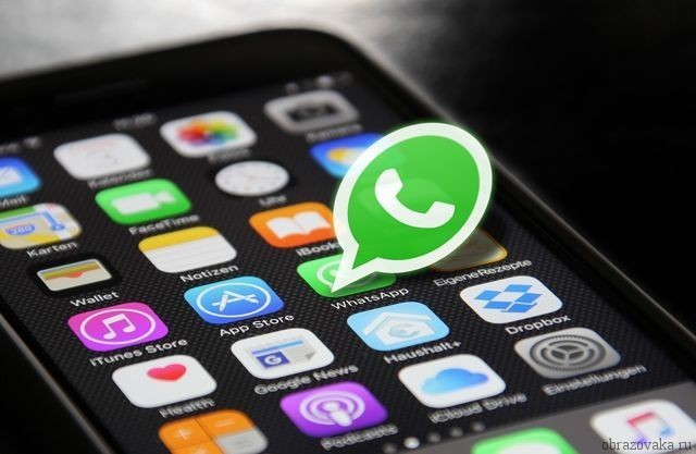 Рассылку в WhatsApp о каннибале полицейские назвали фейком