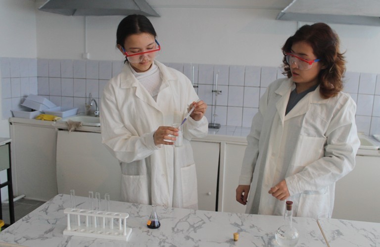 Школьницы доказали вред меламиновой губки для здоровья человека